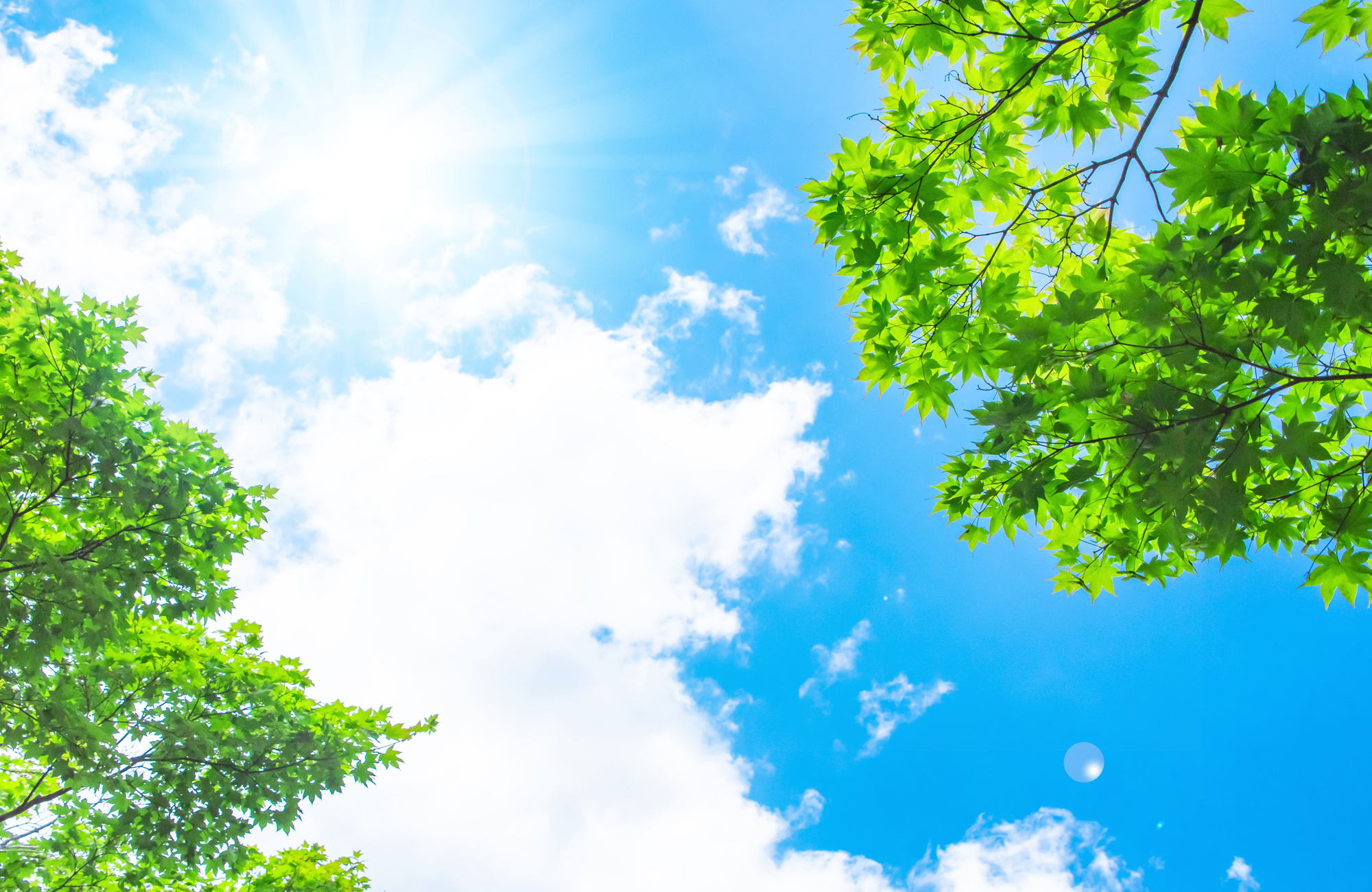 合同会社F&K　お・結びケアサービスslide3